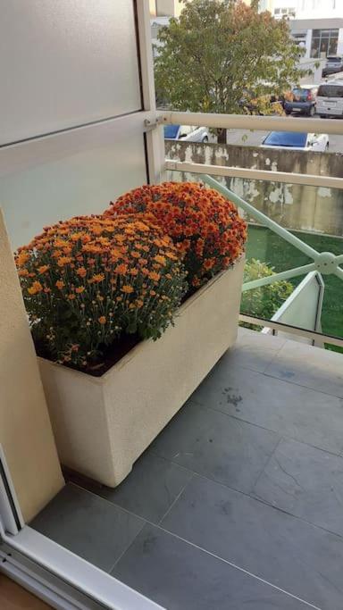 Appt Centre Ville "Parc Olympe De Gouges" Avec Garage Annemasse Ngoại thất bức ảnh